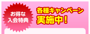 スイミングスクール新規入会特典！各種キャンペーン実施中！