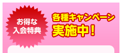 子供スイミングスクール新規入会特典！各種キャンペーン実施中！